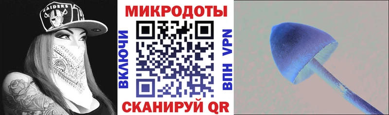 Псилоцибиновые грибы Psilocybine cubensis  Апатиты 