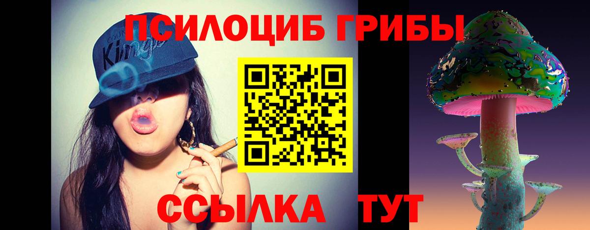 Псилоцибиновые грибы Psilocybine cubensis  Вход с VPN  Апатиты 